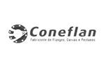 Coneflan